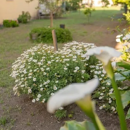 Holiday home Le Sfogliatine -